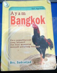 Image of Ayam Bangkok cara pemeliharaan yang intensif dan kiat mencetak menjadi petarung tangguh