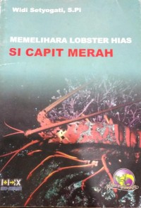 Image of Memelihara Lobster Hias Si Capit Merah
