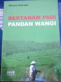 Image of Bertanam Padi Pandan Wangi